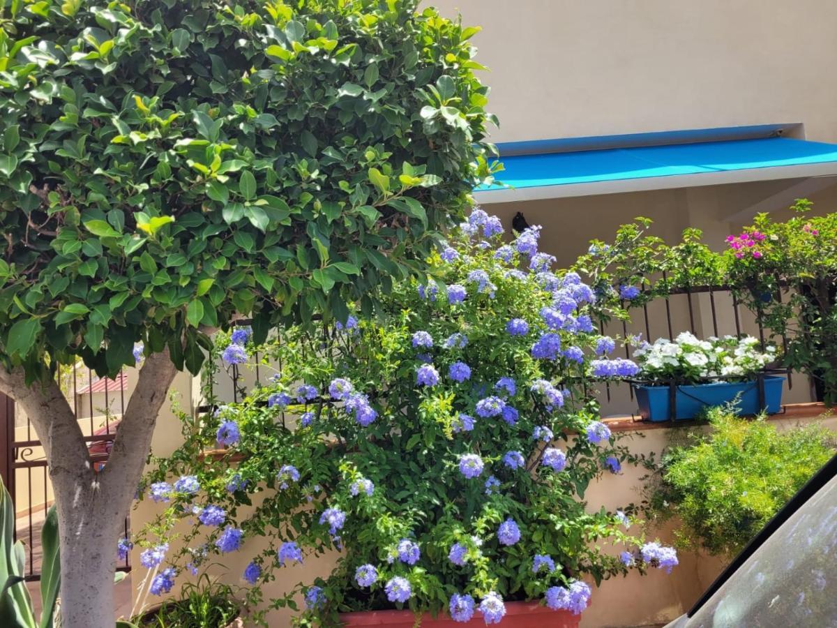 My Little House - Appartamento Con Patio E Parcheggio Privato A 5 Minuti Dalla Spiaggia E Dal Centro Tropea Zewnętrze zdjęcie